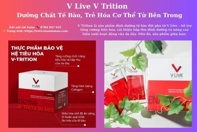 V Live V Trition – Dưỡng Chất Tế Bào, Trẻ Hóa Cơ Thể Từ Bên Trong